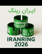 حلقه و پلاک کبوتر